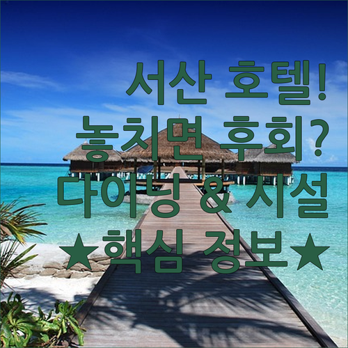 서산에서 이 호텔 안 가면 후회 베니..