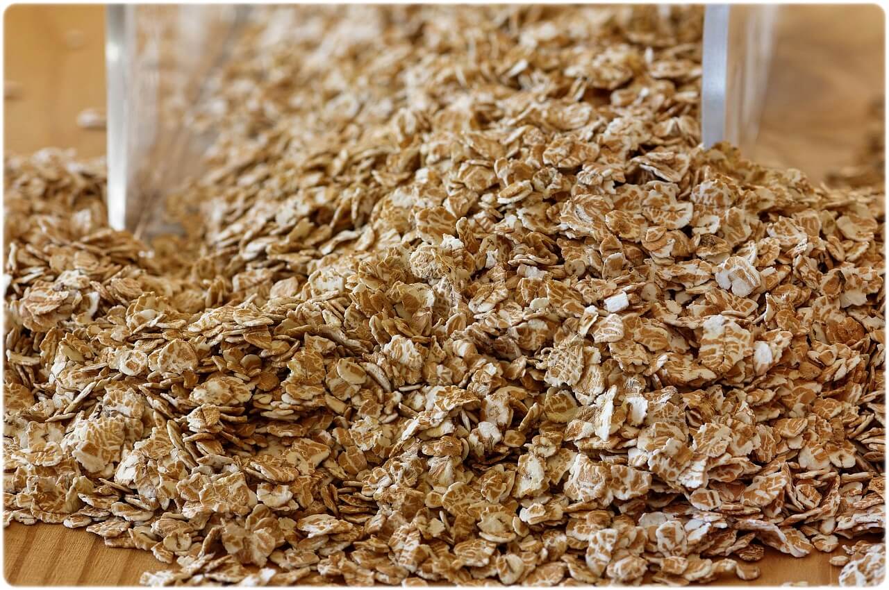 강아지 피부에 좋은 음식