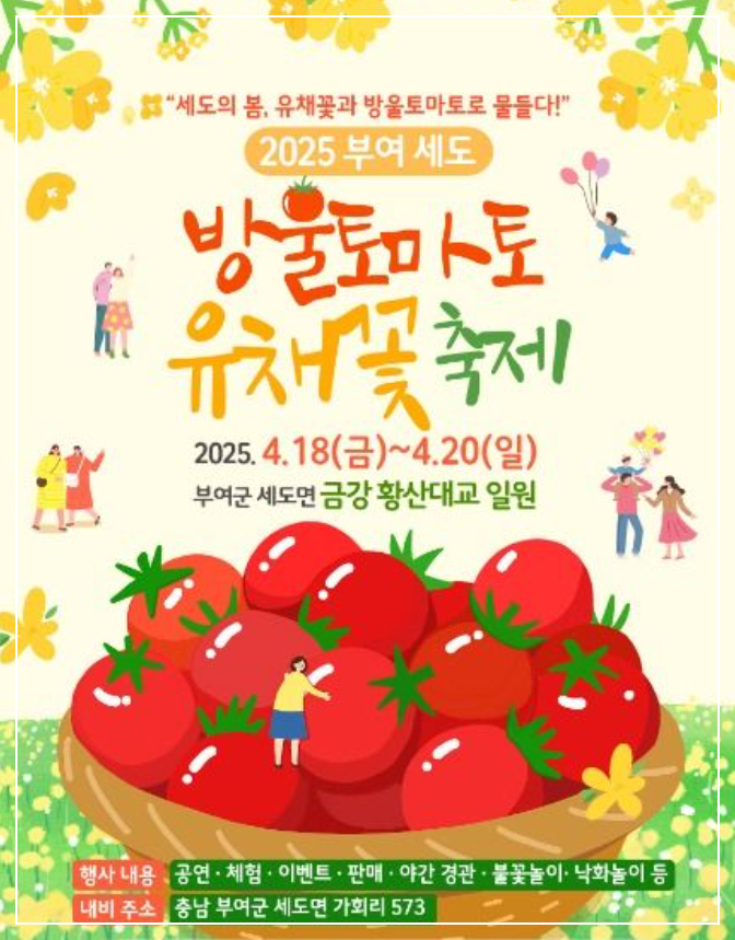 부여세도 방울토마토 유채꽃 축제