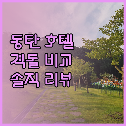 스타즈호텔프리미어 vs 호텔 푸르미르