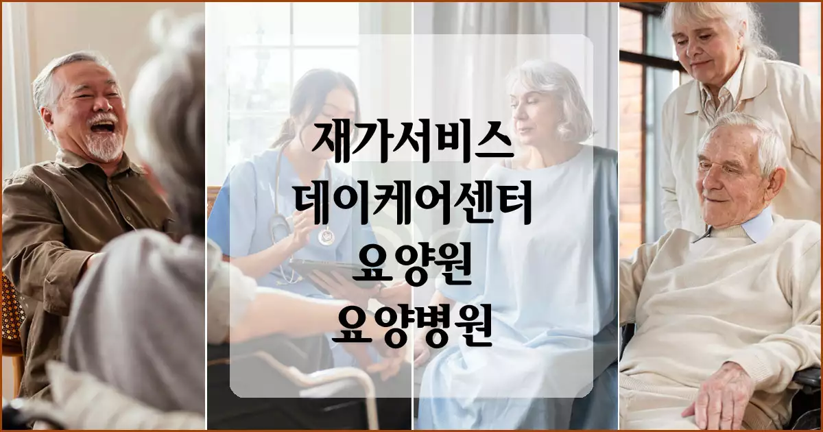 재가서비스 데이케어 요양원 요양병원 비교분석