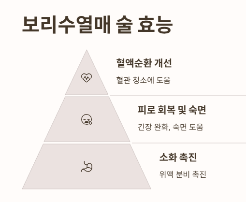 보리수열매 술 효능