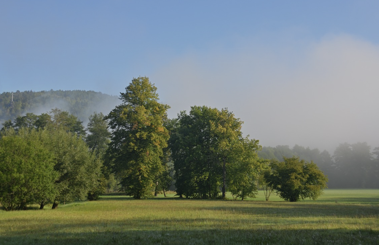 소아 응급 비상약