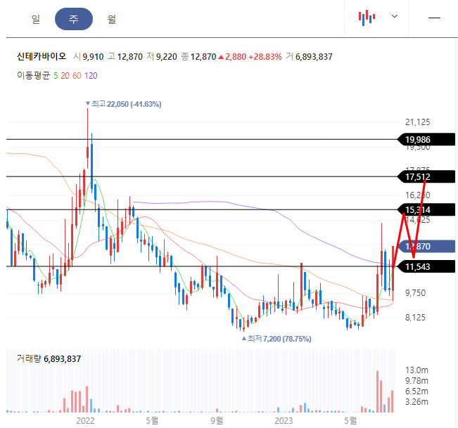 신테카바이오 주봉차트