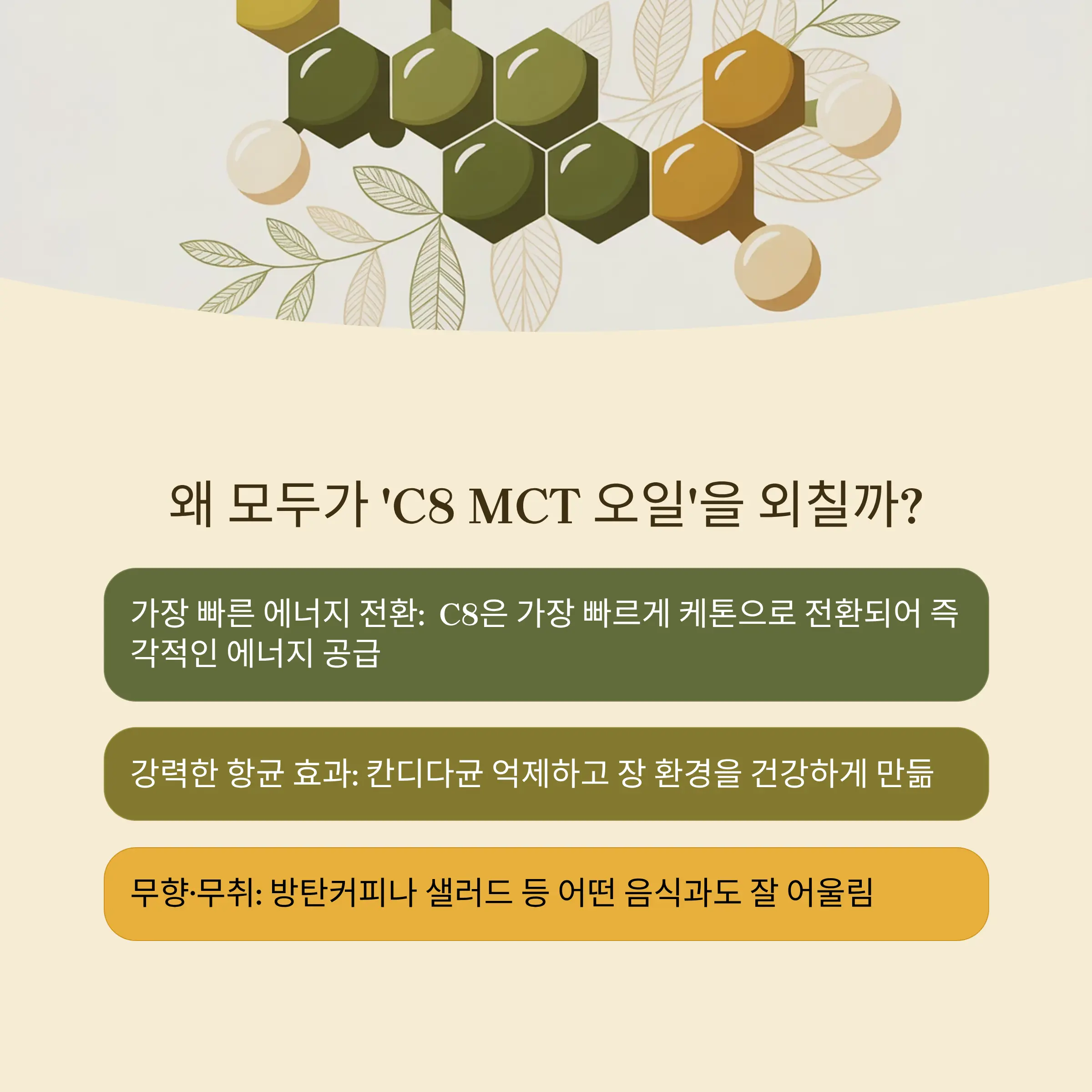 코스트코 MCT오일 추천