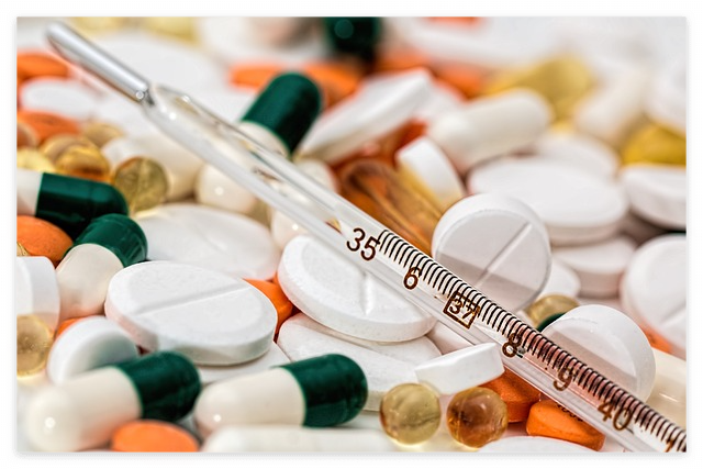 강아지 먹이면 안되는 음식