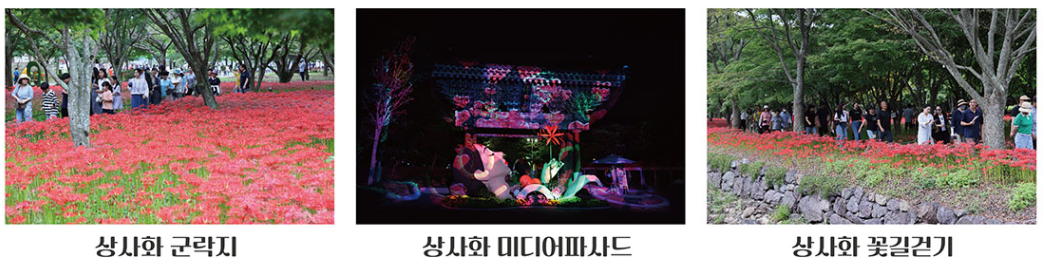 행사내용