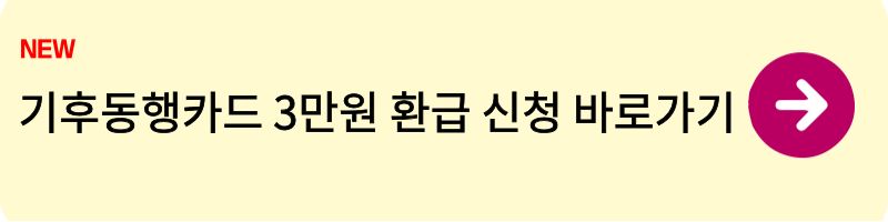 기후동행카드 3만원 환급1