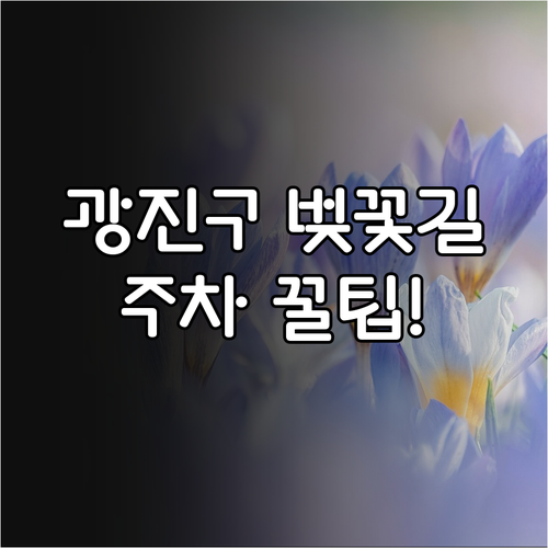 광진구 봄나들이 장소 주차 정보와 코..