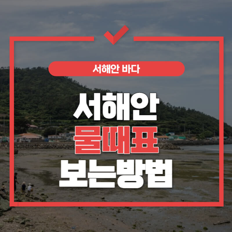 서해안-물때표-보는-방법-썸네일