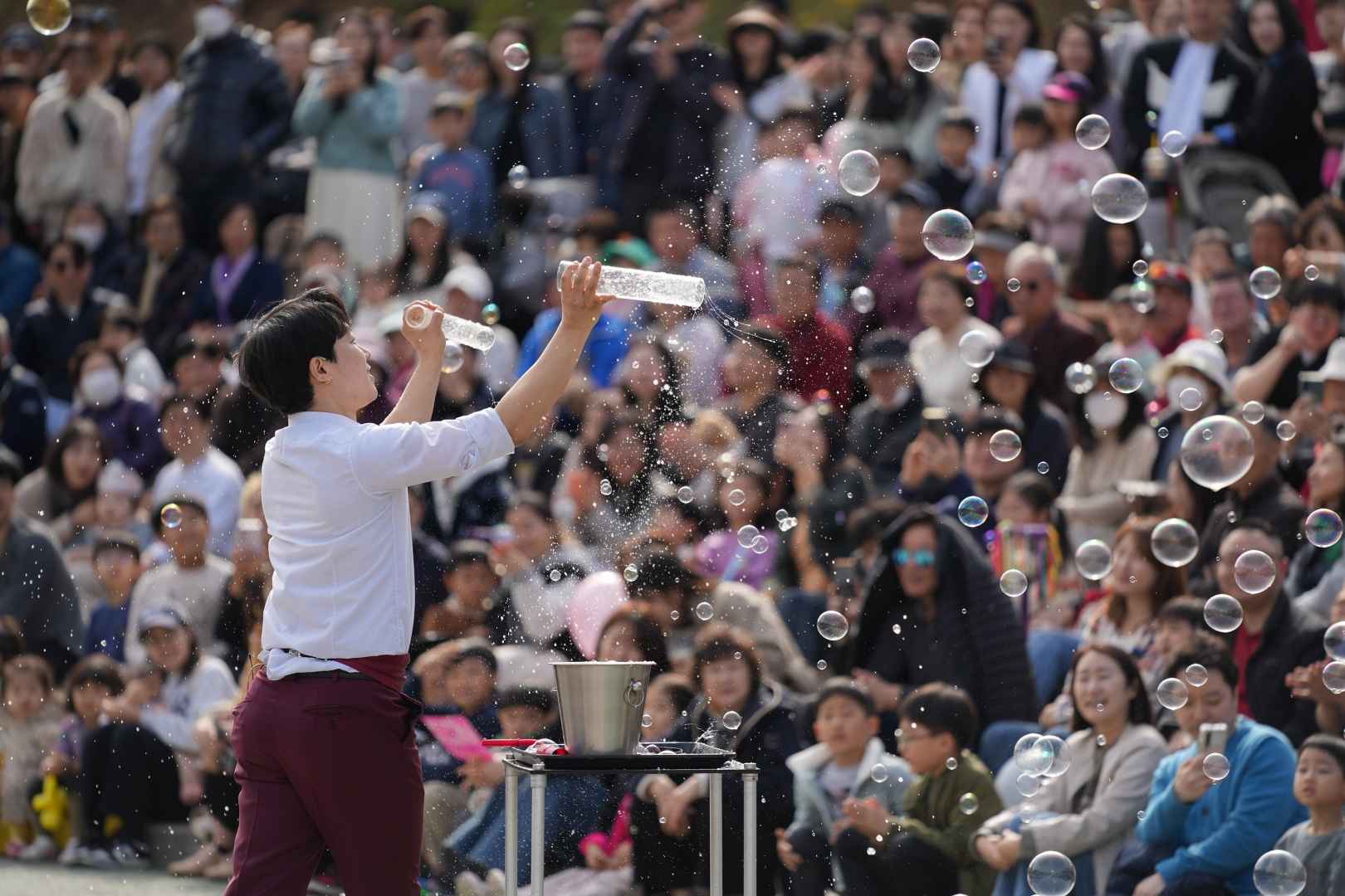 양재천 벚꽃 등 축제