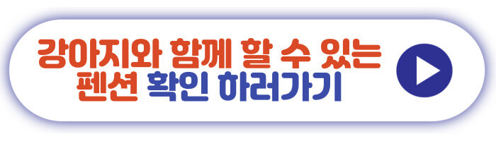 강아지와 함께 할 수 있는 펜션