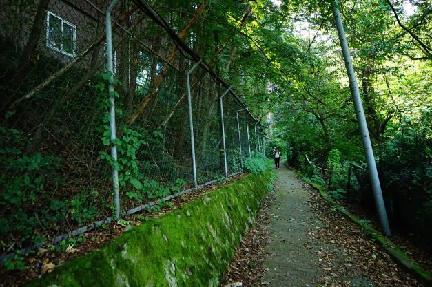 가운데 등산로 왼쪽에 성결대 철망 담,