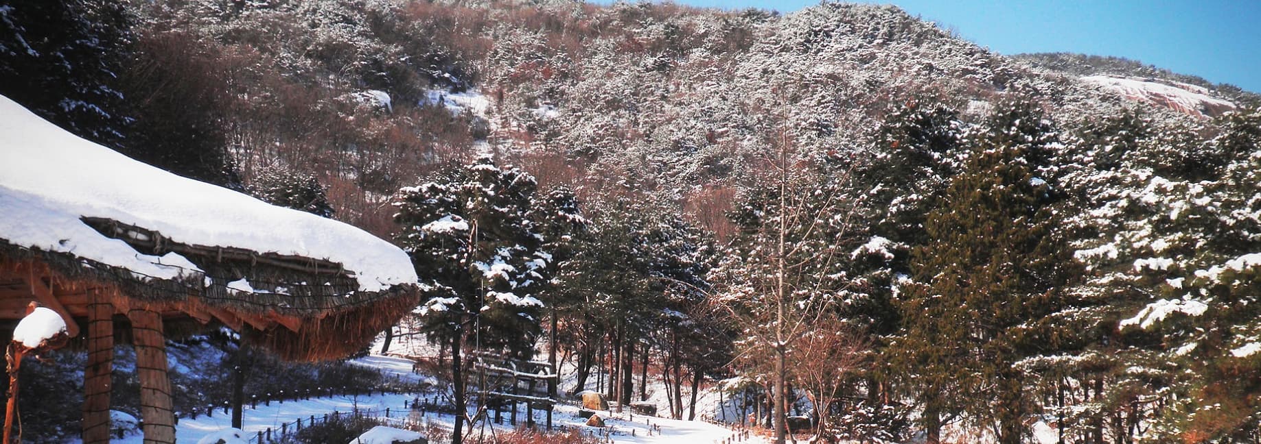 [서울 근교 여행지]산들소리 수목원 &amp; 낭만등불축제 후기