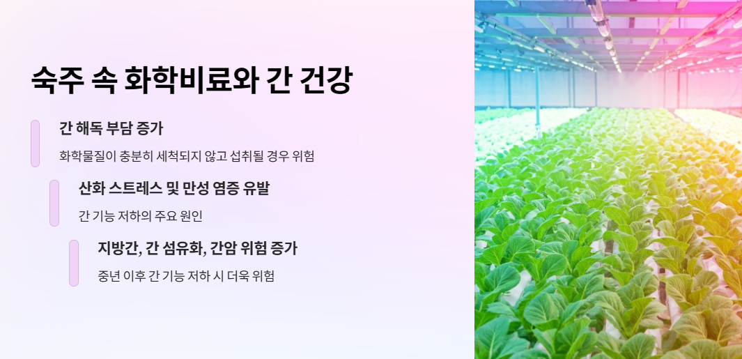 숙주 속 화학비료와 간 건강