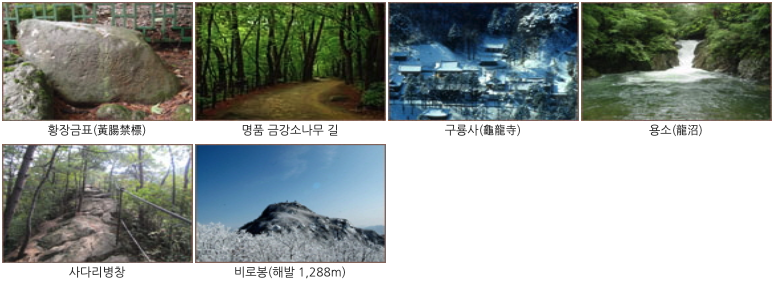 구룡문화재매표소~비로봉코스 주요볼거리