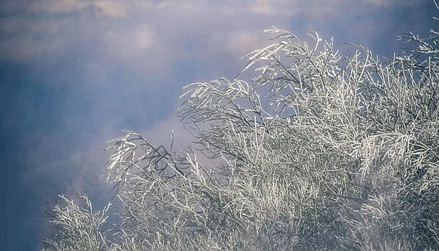 덕유산 등산코스 지도 곤돌라 구천동계곡 가족 트레킹 추천_6