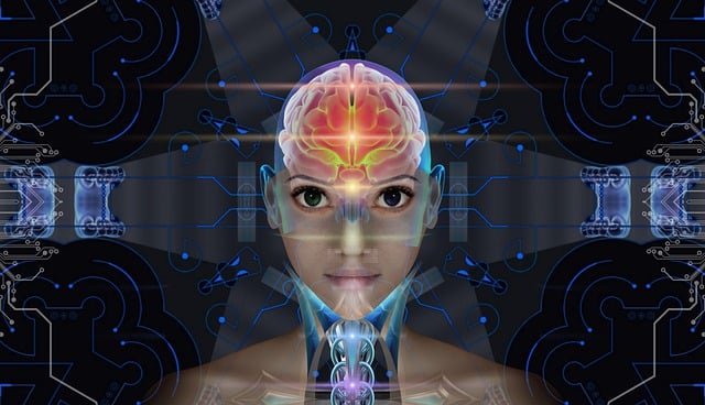 내 얼굴을 분석하는 AI, 정말 정확할까?