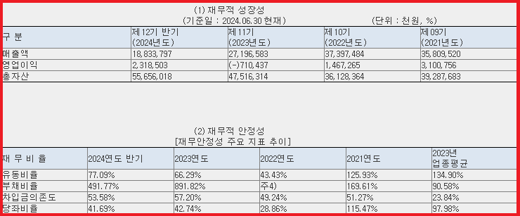 재무 현황