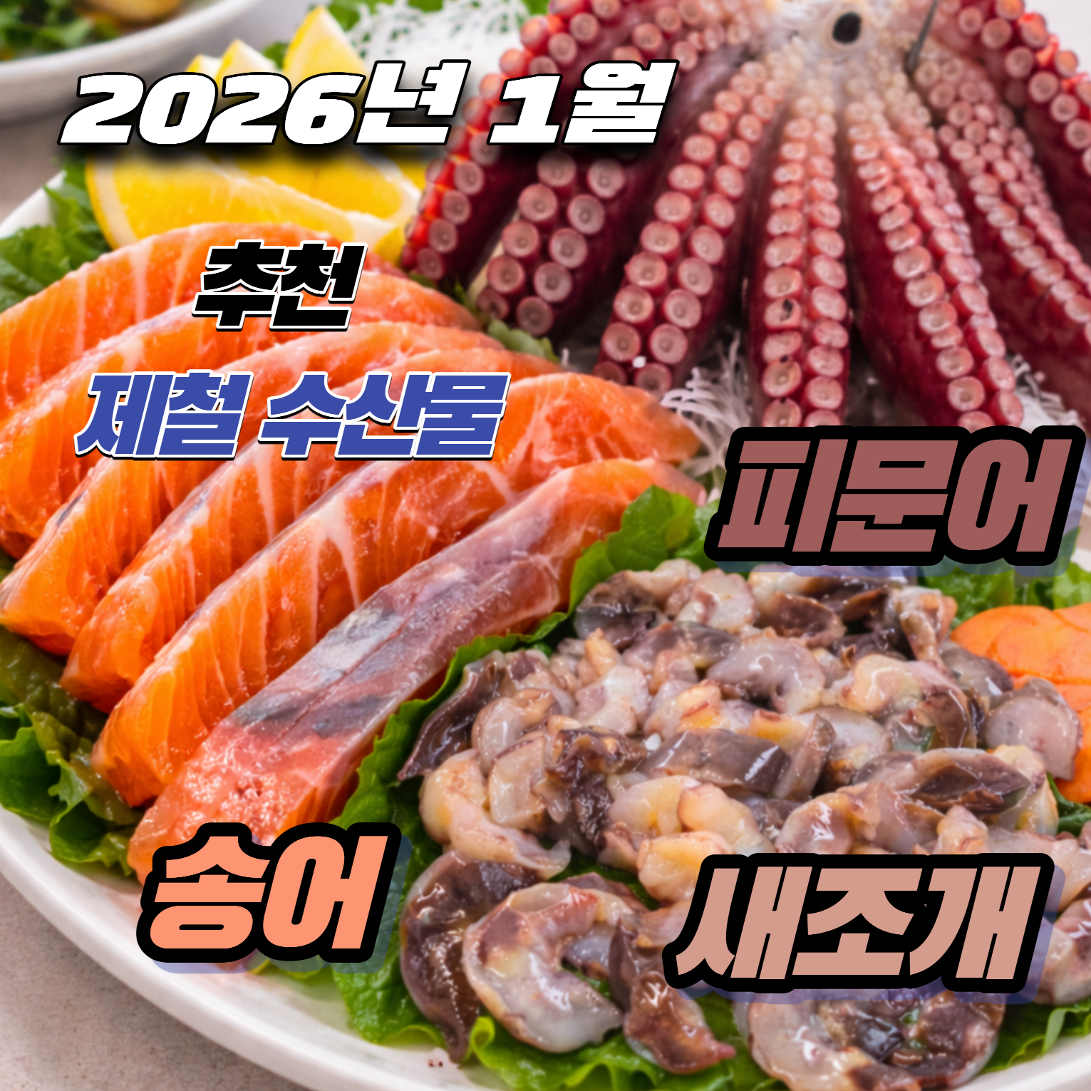 2026년 1월 제철 수산물 추천 송어&middot;새조개&middot;동해안 피문어