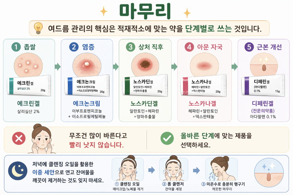 여드름 단계별 치료 요약 인포그래픽으로 좁쌀, 염증, 압출 후 상처, 흉터, 재발 단계에 따른 연고 선택(에크린겔, 에크논크림, 노스카딘겔, 노스카나겔, 디페린겔)과 관리 방법을 정리한 이미지