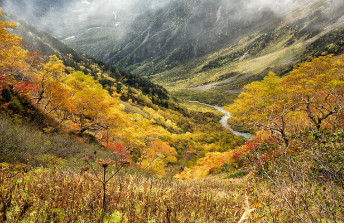 닌텐도 스위치2 사전예약 바로 가기 20