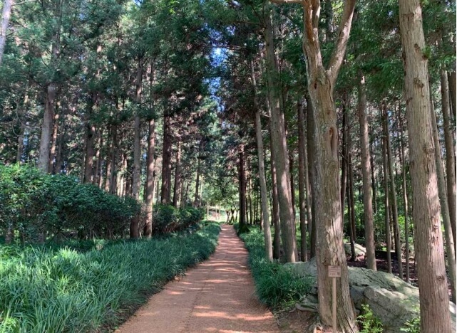 우드랜드(2)