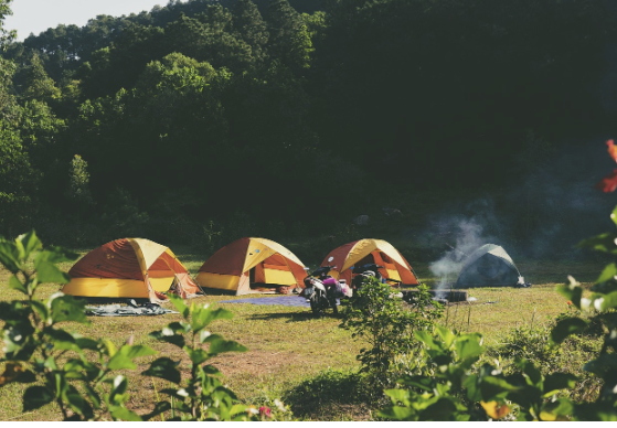 캠핑장 예약 성공을 위한 꿀팁