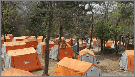 서울대공원 캠핑장 완전 정복! 예약 꿀팁부터 명당자리까지