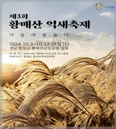 황매산 억새축제_1