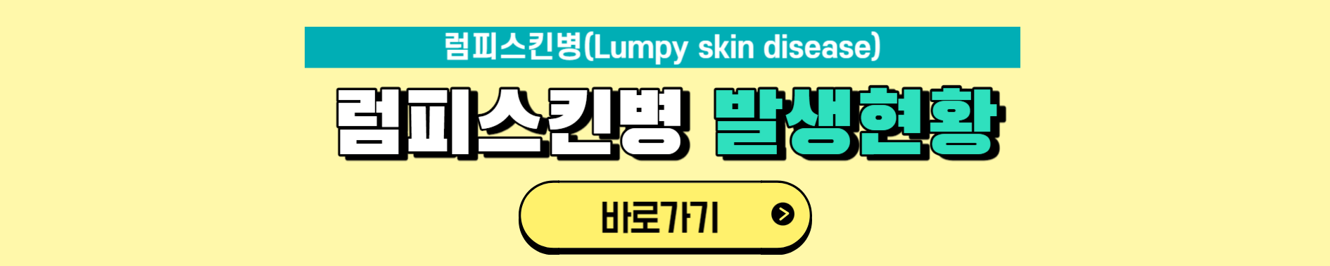 럼피스킨이 사람에게 미치는 영향과 럼피스킨이란?