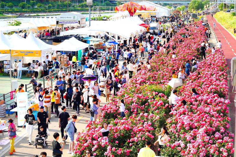 서울장미축제