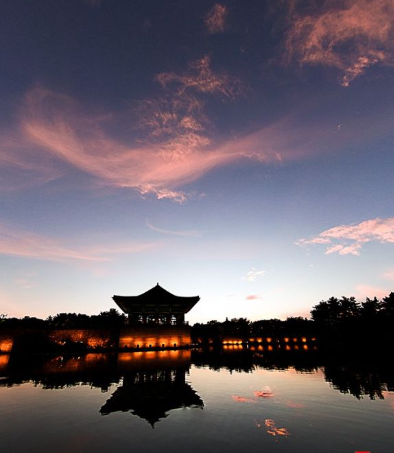 1월 경상도 가볼만한곳 여행지 ❘ 국내 겨울 나들이 명소 추천❘ 데이트 가족 실내 당일치기