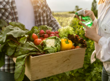 공익직불금 신청사이트, 신청자격, 비대면 신청방법