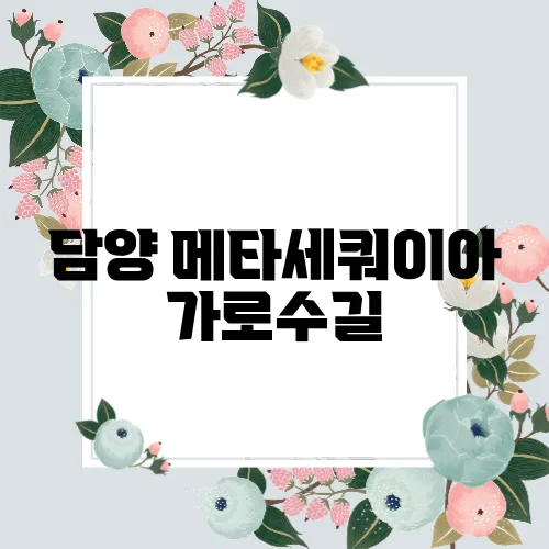 담양 메타세쿼이아 가로수길