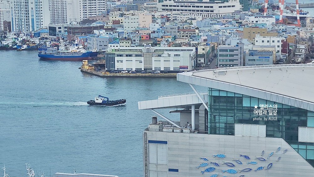 부산 그리핀베이 호텔 남포 가성비 호텔 추천 오션뷰 룸 조식 부산신축호텔