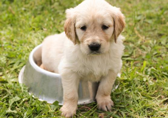 [폭염주의보] &lsquo;절대&rsquo; 차량에 두면 안 되는 6가지!