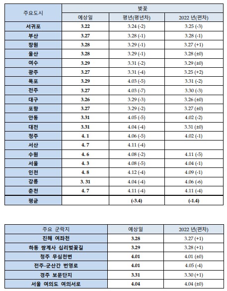 2023년 벚꽃 (2)