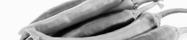 줄 간격 60~90cm 정도