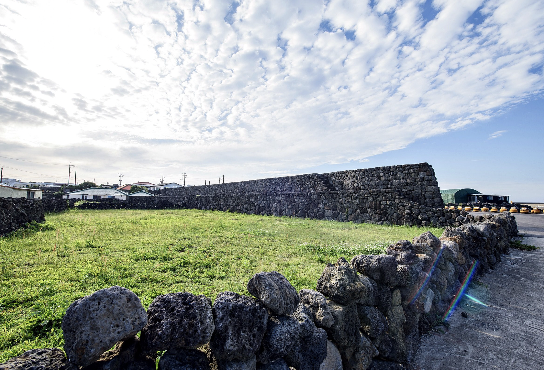 제주 유채꽃 명소 BEST 05 무료 입장 버스투어 추천