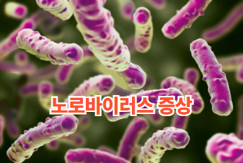 노로바이러스 증상