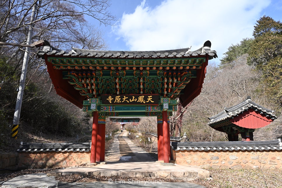 보성 대원사