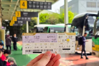 울산시외버스터미널 시간표 예매 조회 실시간 정리_23