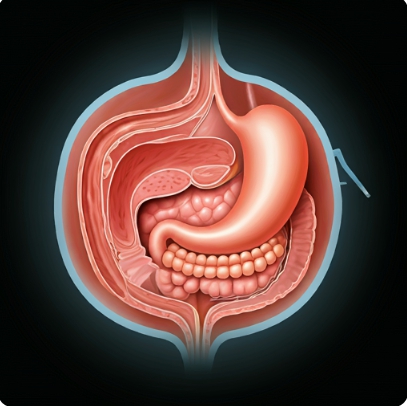 위 내시경 전날 금식시간 음식 초기증상
