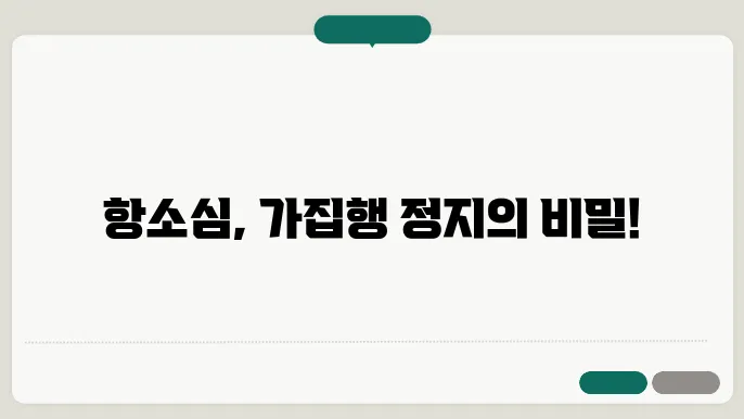 항소심 가집행 정지 신청