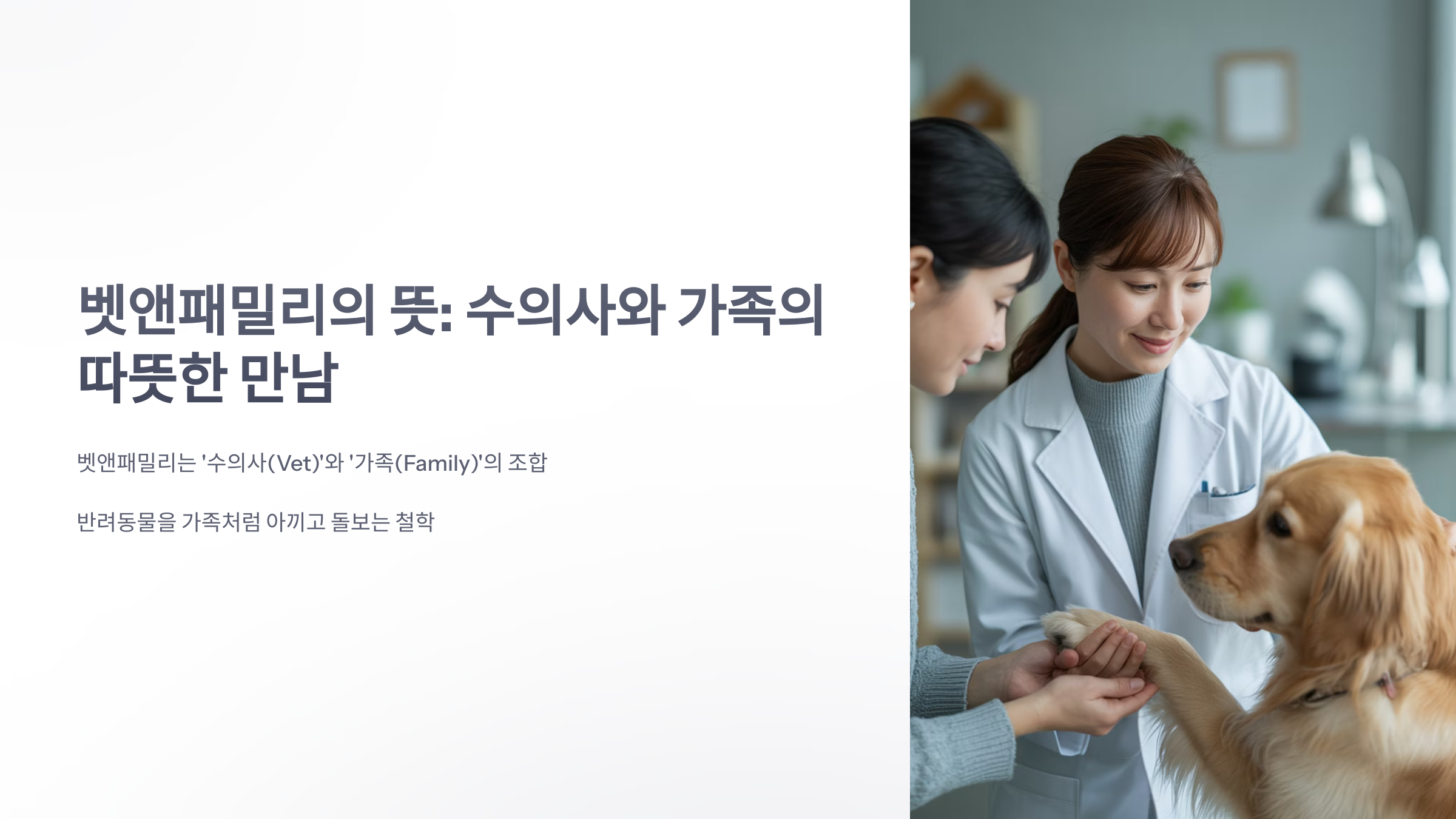 참조-뱃앤패밀리의-뜻-1