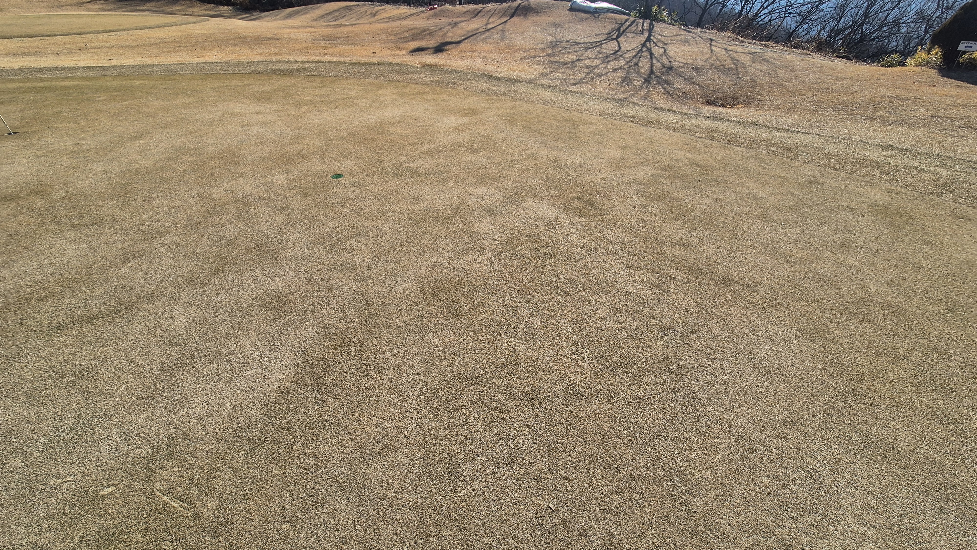 로제비앙gc 로제-비앙 코스 그린 관리 상태