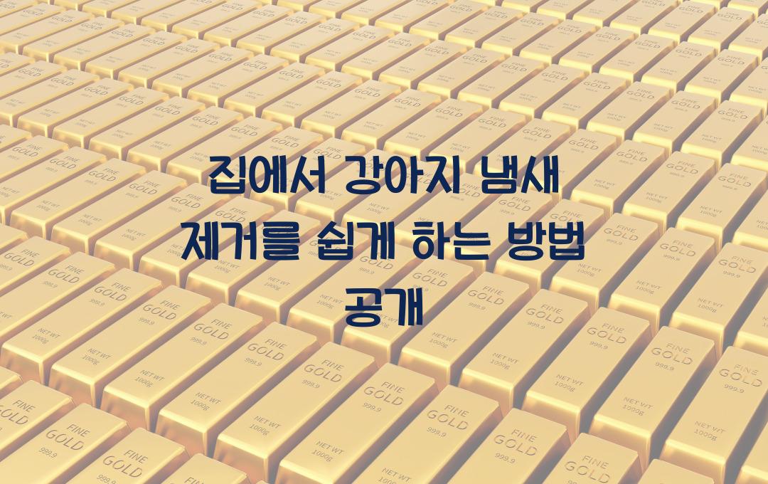 집에서 강아지 냄새 제거를 쉽게 하는 방법