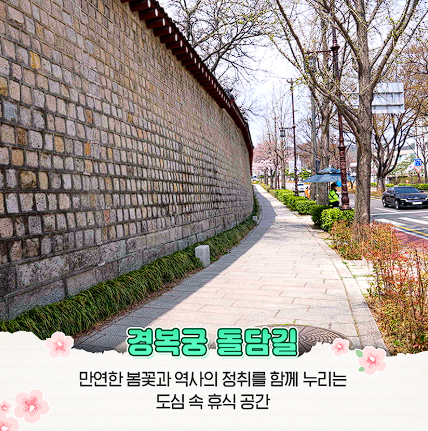 청와대 관람신청