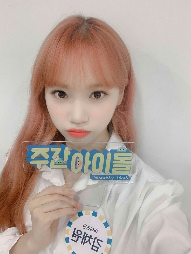 김채원 사진 모음